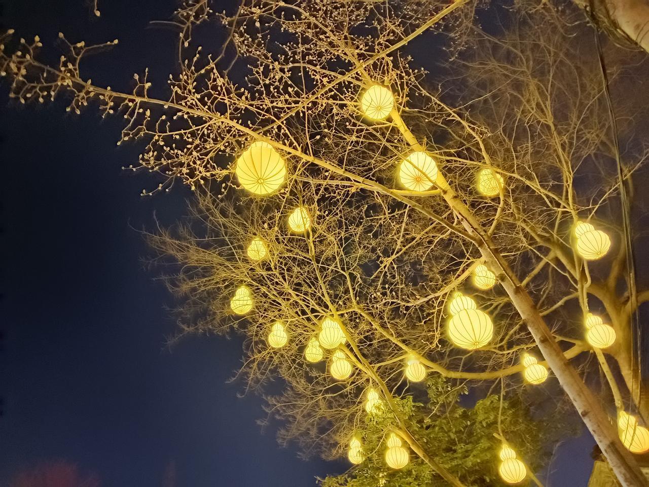 射雕：杨康真的贪图荣华富贵吗？其实，是，也不是。

杨康在射雕里坚定地选择养父的