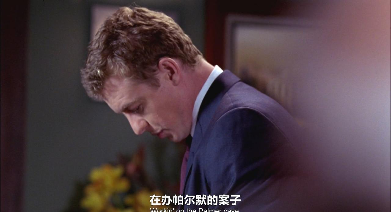 西蒙贝克主演，《法外情真》The Guardian，1080p译制第十集

法外