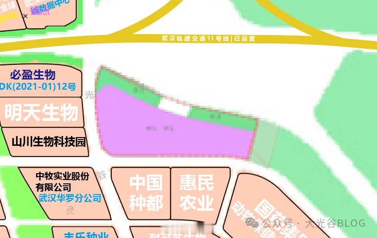光谷未来城片区，新增仓储用地为优化区域空间布局，适配光谷智慧供应链园区项目建设发