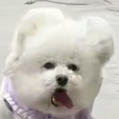 今天如果拿下掘金，明天要是再抬湖人一手，那你就是真义父了nba