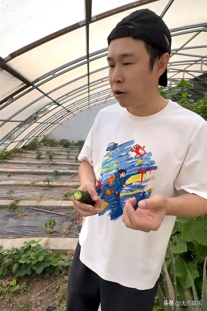 为什么很多明星都喜欢种菜呢？近日，小沈阳展示了自己的菜园子和大棚，里面种着辣椒、