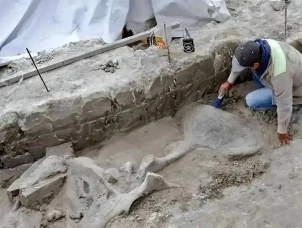 意外发现了一具骸骨，令人震惊的是，这具骸骨竟然带着 6 公斤重的铁料，脚踝上还钉