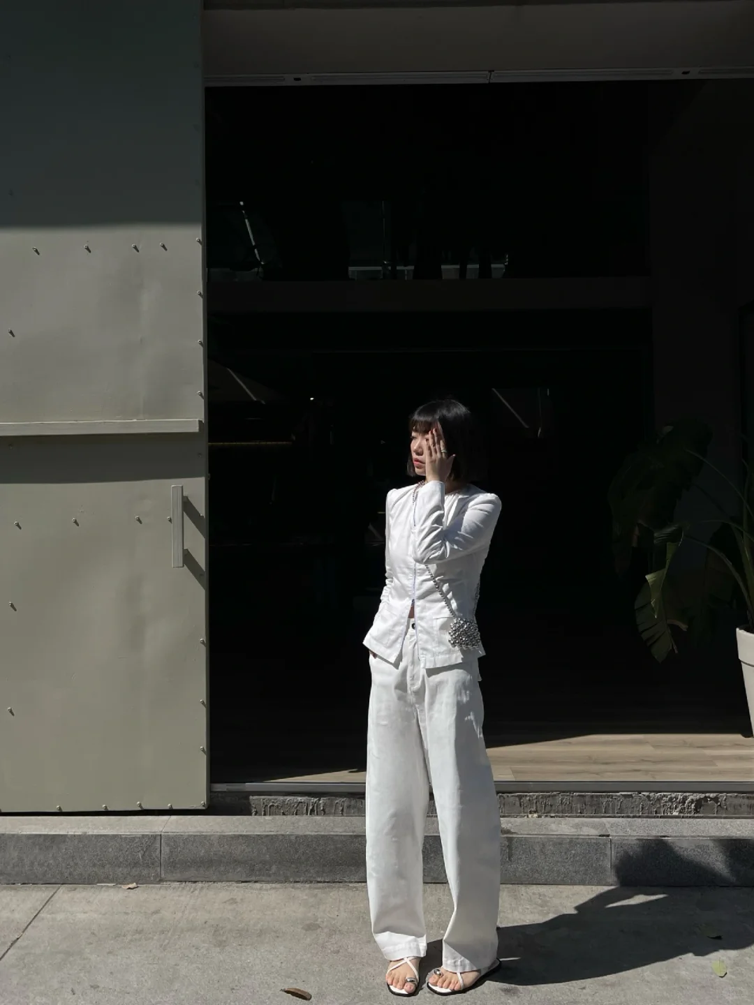 我的春日allwhite