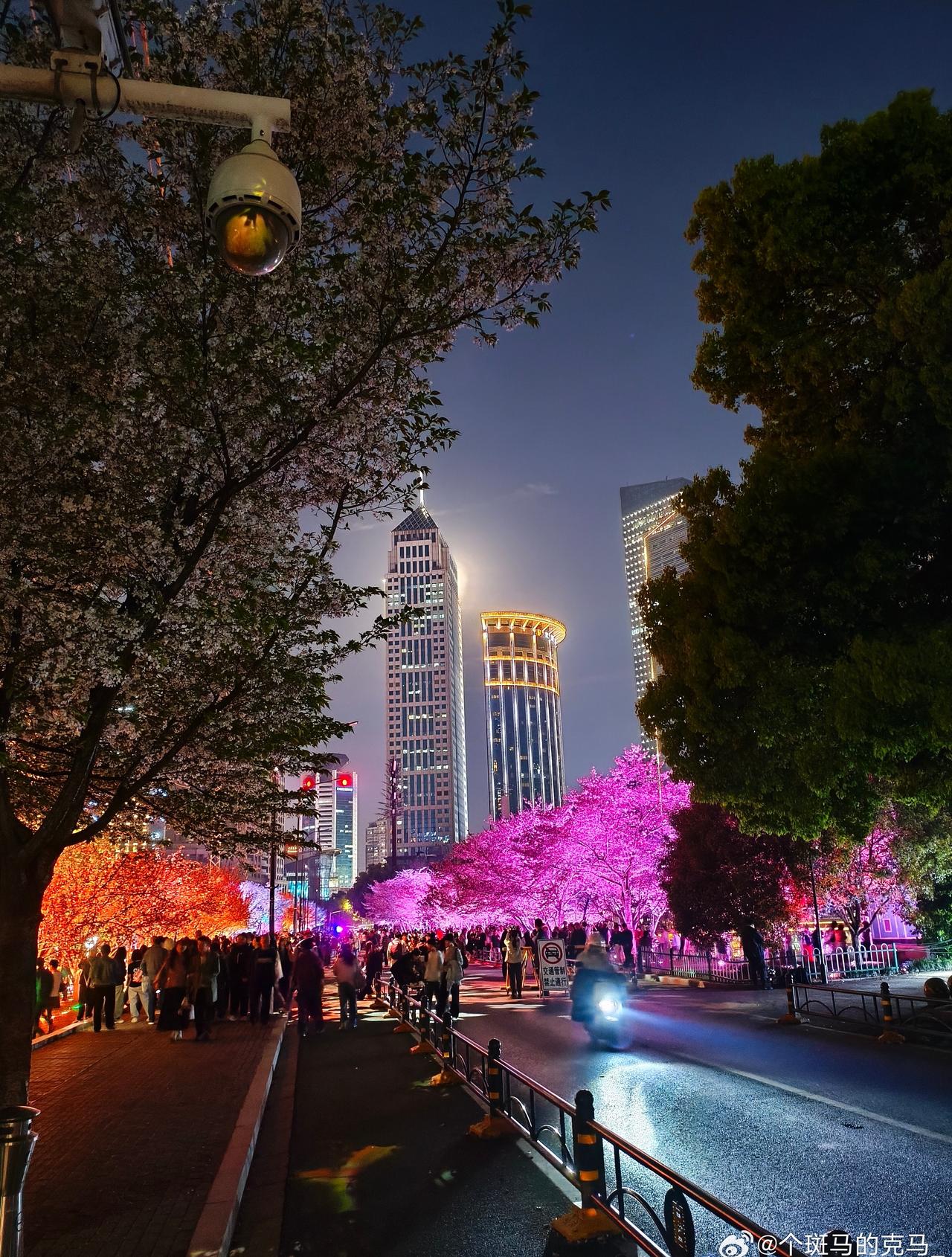 武汉是真宠游客
为了方便大家拍照
直接把一条路封了
给游客最好的角度
竟然还放了