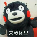 观云捧动漫