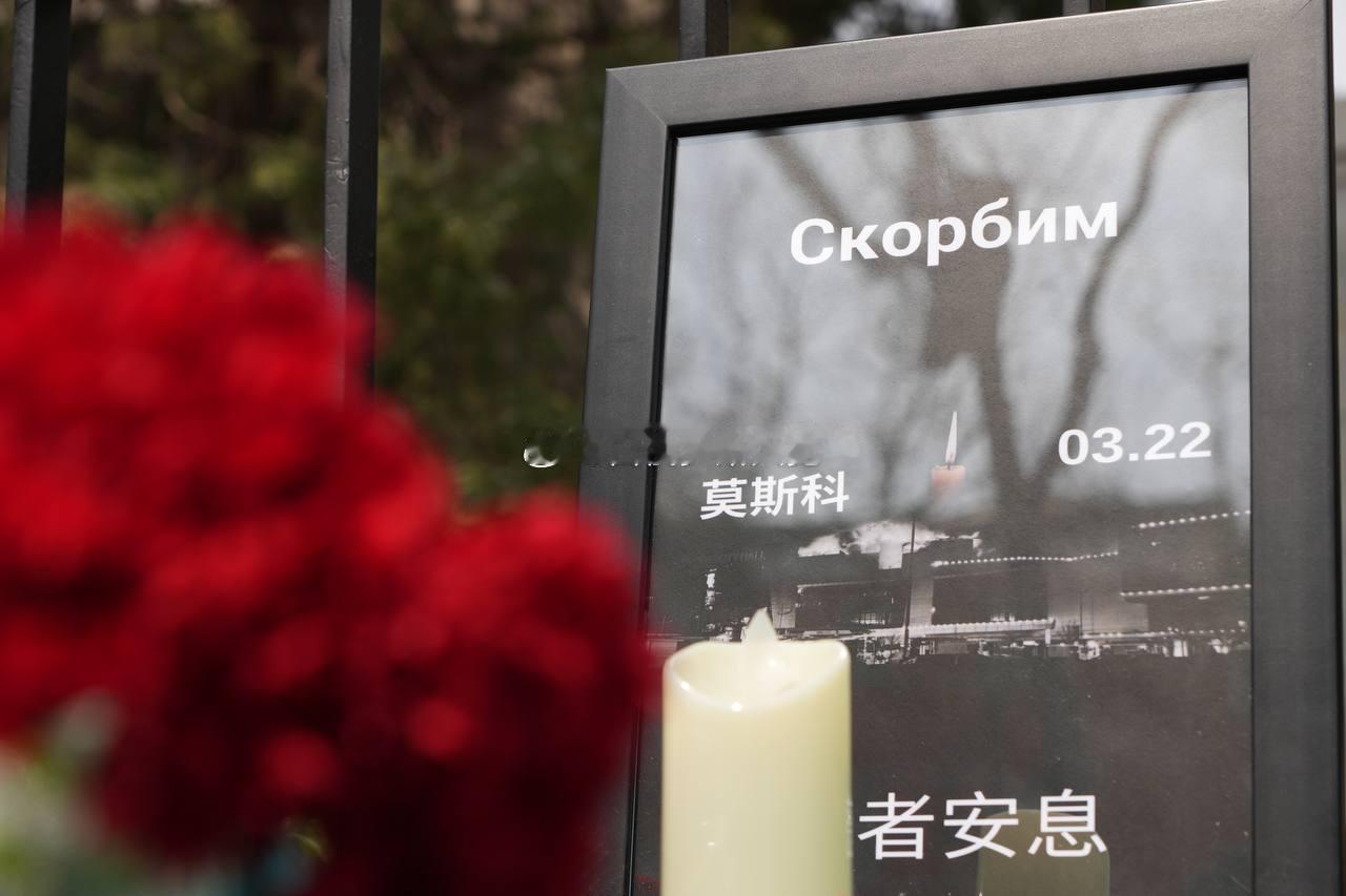 俄罗斯驻华大使：数千名中国公民向俄驻北京大使馆表示哀悼#俄罗斯已进入战争状态# 