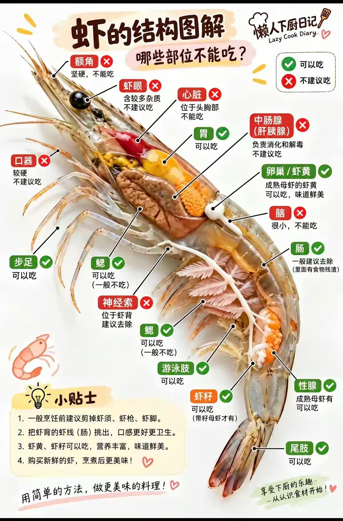 麻雀虽小，五脏俱全！
吃虾竟然有这么多讲究？[看] ​​​