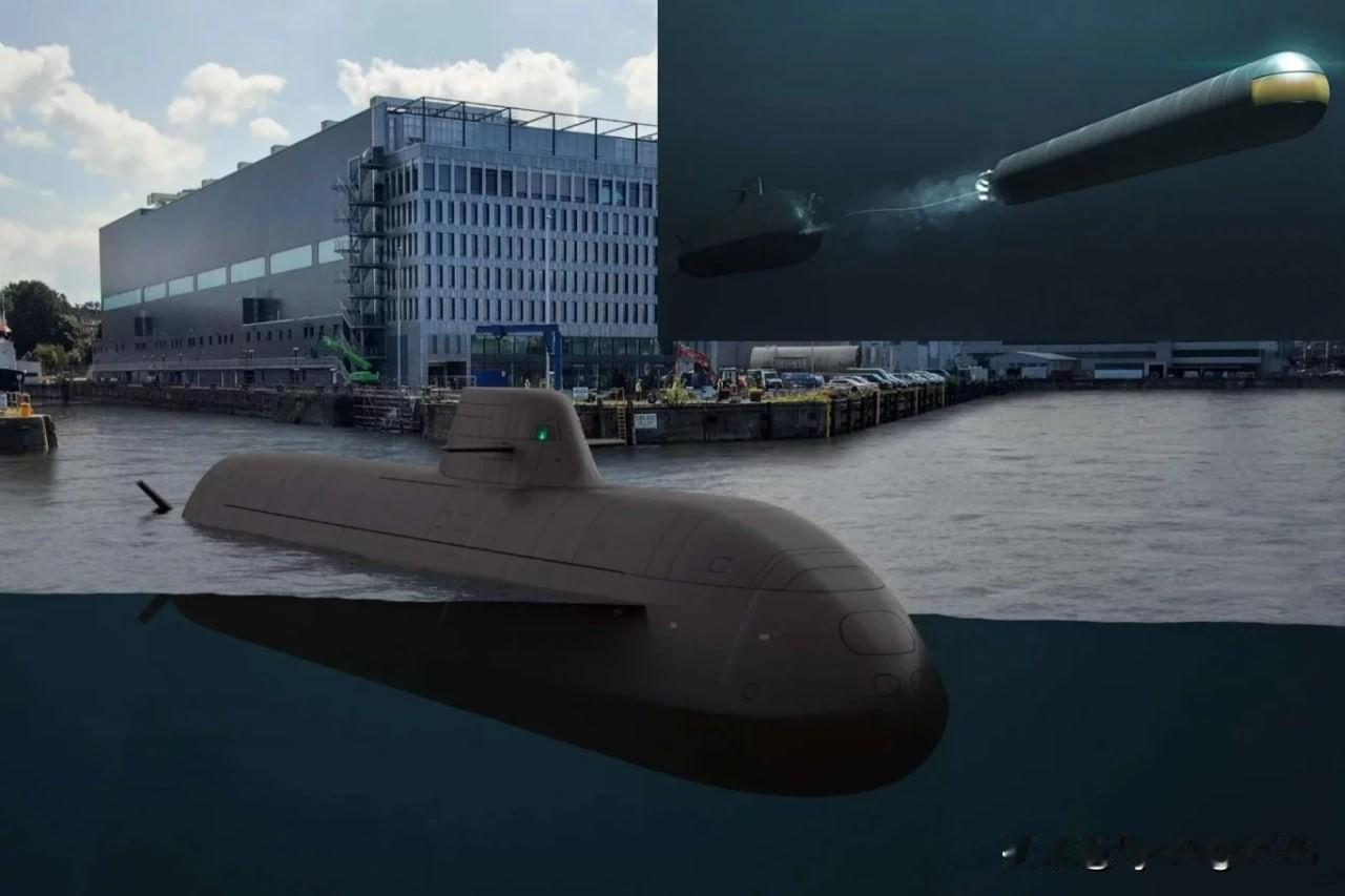 🇩🇪🇳🇴 德国和挪威签署212CD型无核潜艇DM2A5重型鱼雷最大合同