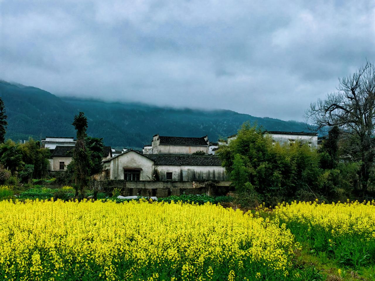 【原创】
黄山黟县南屏
雨后的南屏比晴天更美上十分，水墨般的美…安徽黟县旅行 南