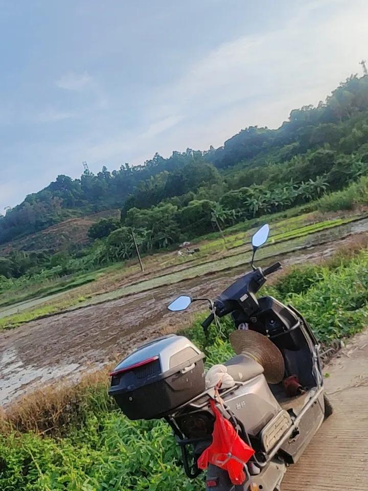随手拍乡下自然风景，那真是一种享受！开车回村，视野瞬间开阔。平整的乡村公路直通远