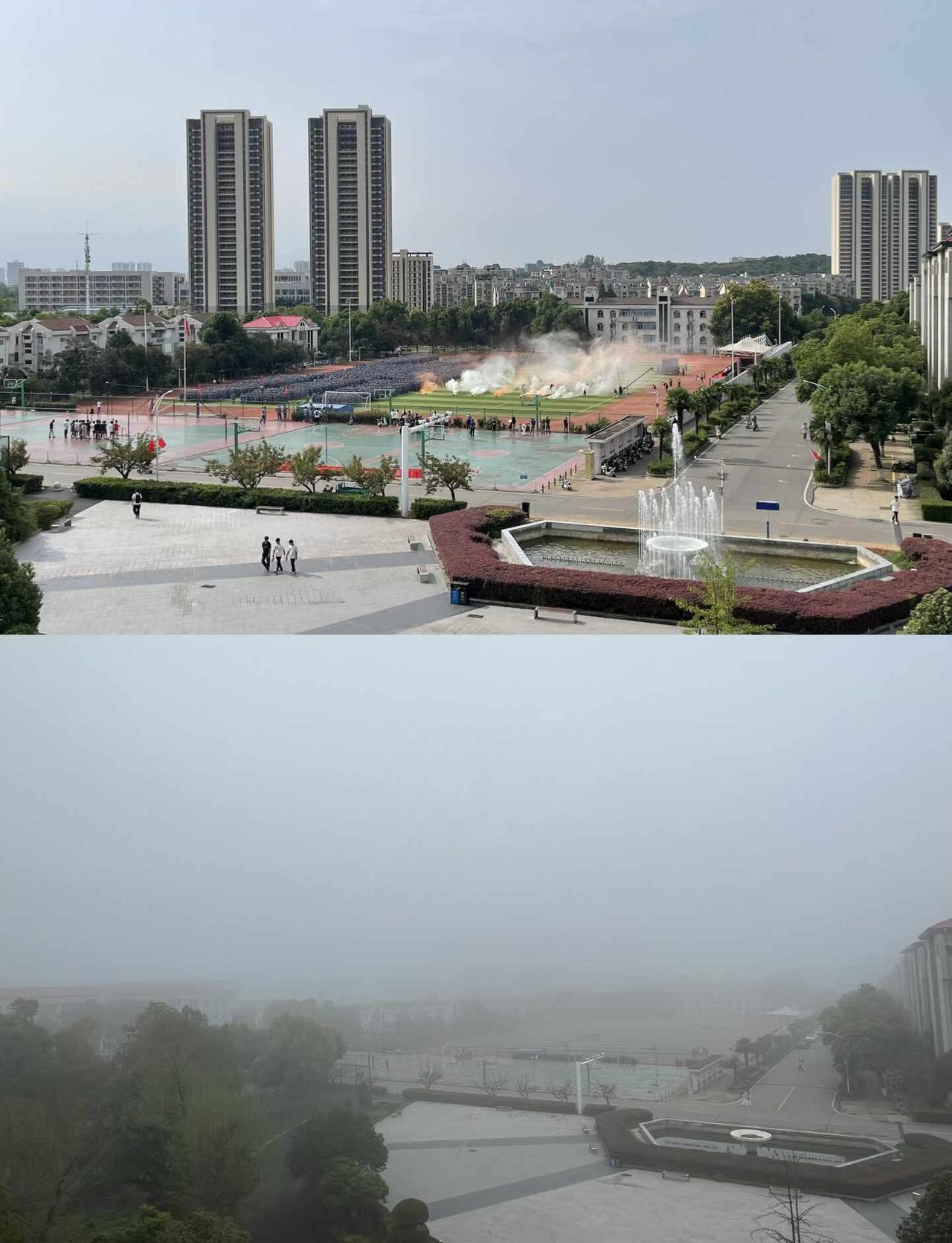 武汉什么时候变雾都了？
一开始只拍了树枝上的蜘蛛网，天天从这里经过，如果不是这场