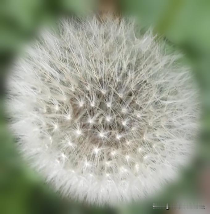 老师自己注册，就像让学生自己批作业？这个道理值得细品

各位老师，当你看到工作群
