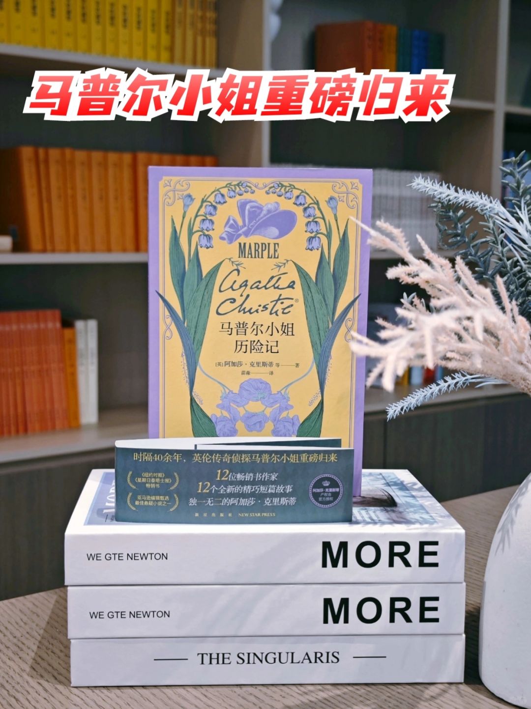 我看的不是马普尔小姐的故事，看的是情怀～