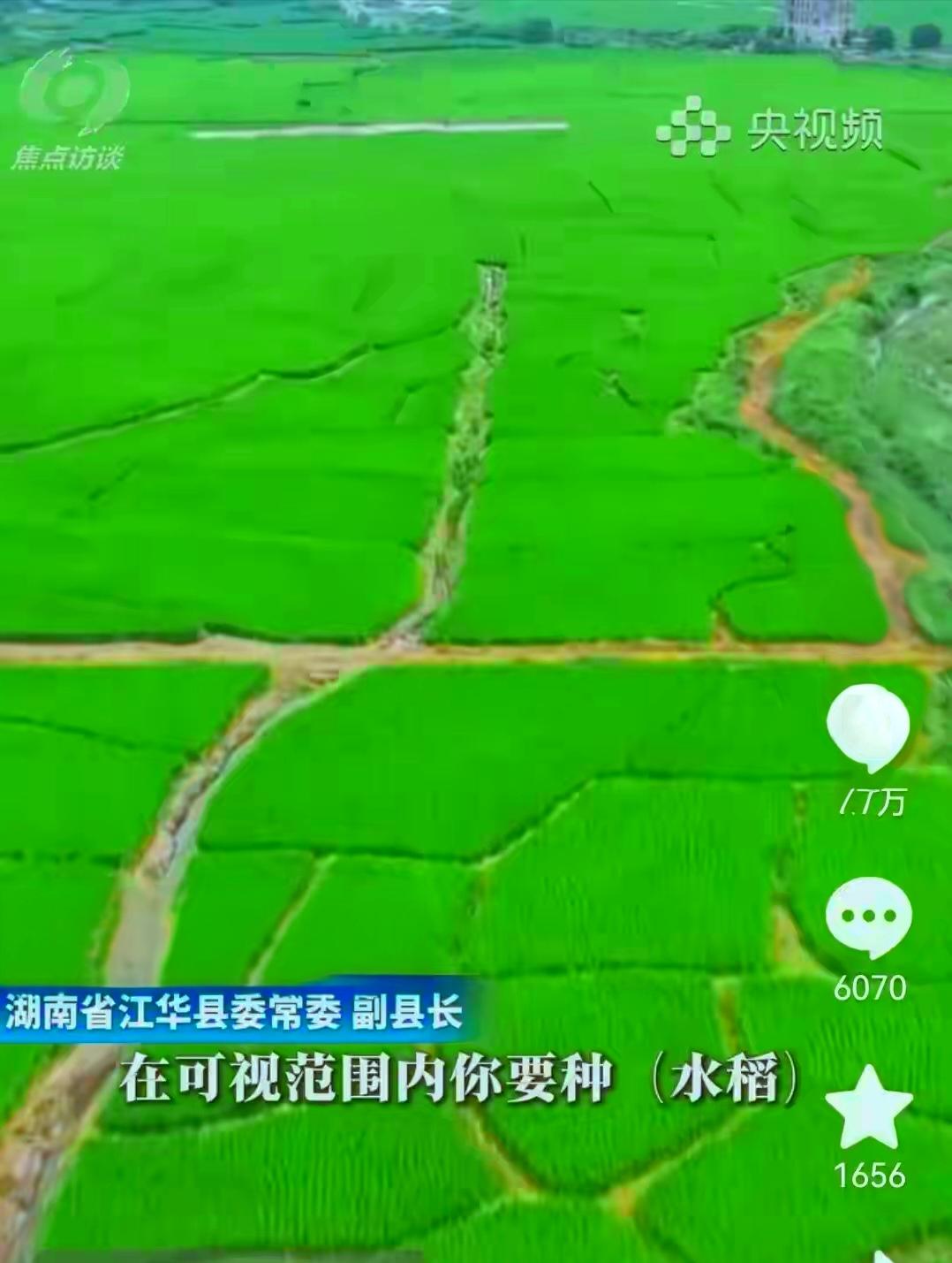 全网反常力挺！江华“纸上种田”没人骂，这才是最清醒的民意
 
央视曝光湖南江华1