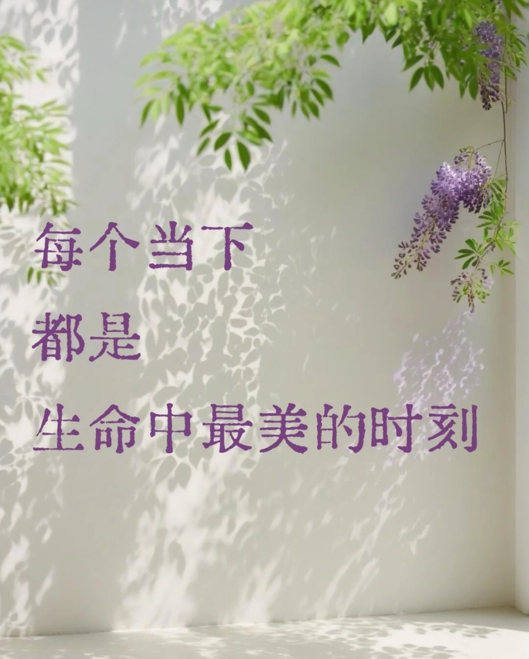 这世界美好的东西太多了，美食美景音乐占一半，剩下的一半是你。 