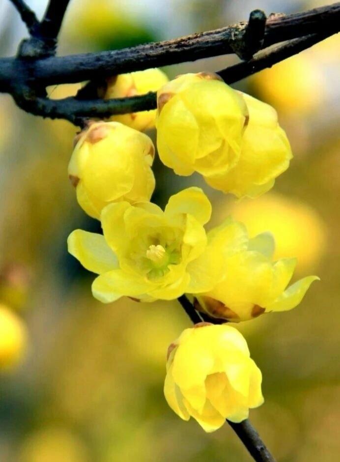 刚刚闹钟⏰提醒我今天是退休的日子，啥时候设定的这个时间点的闹钟，我早就忘了哈～[