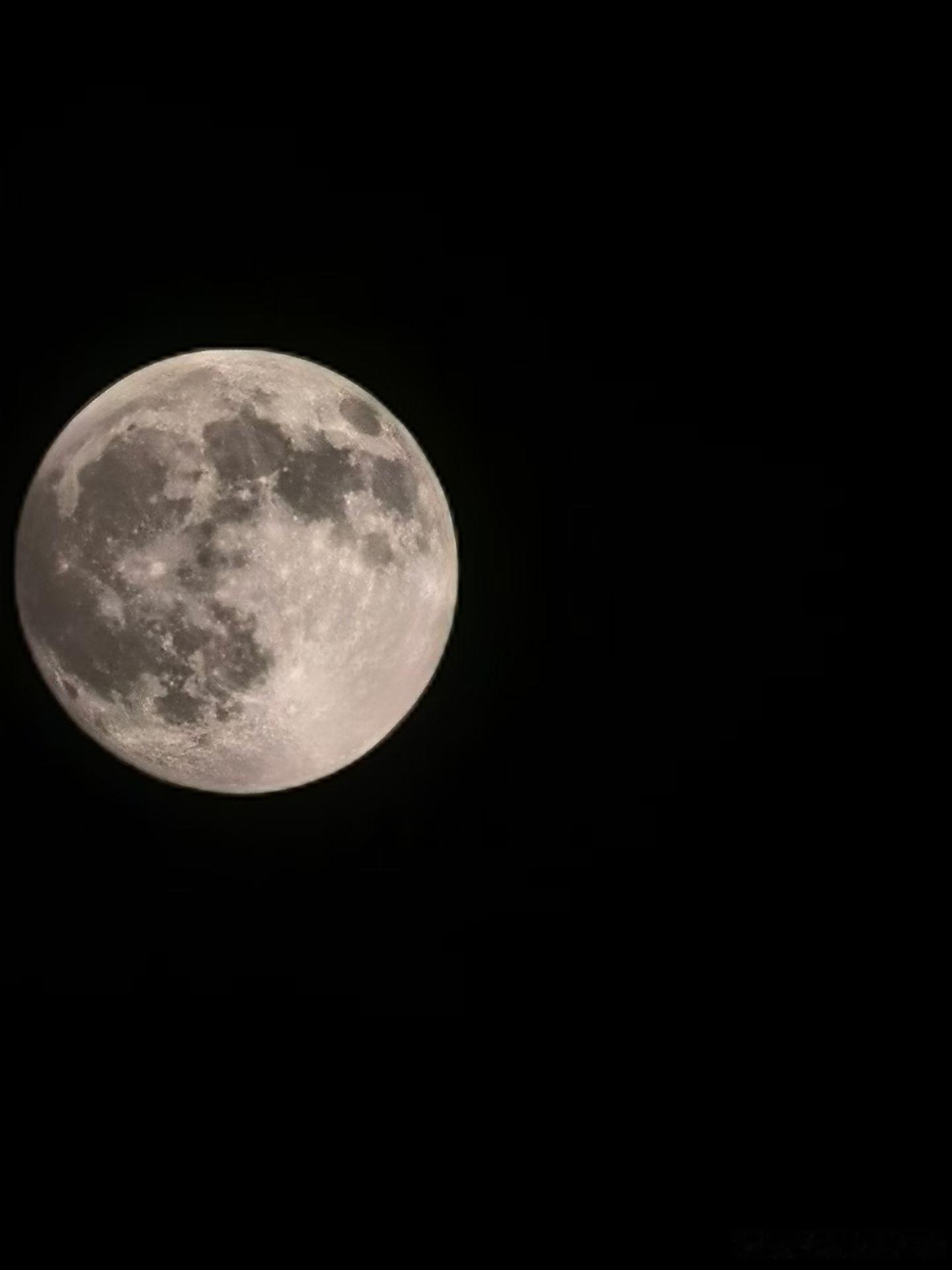 十五的月亮十五也圆🌕 ​​​