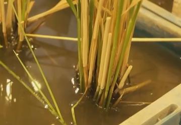 航天界炸出了一个大新闻。就在不少人以为神舟二十三号只是一次普普通通的载人发射任务