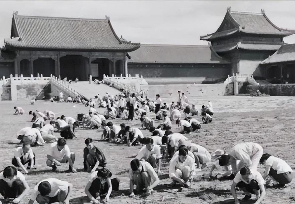 [微风]1949年，国家组织了7万人在北京故宫里清理垃圾，历时9个月清理出清末以