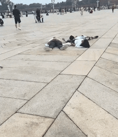 神回复……等你们睡醒的时候，估计升旗仪式也结束了吧！[我想静静][我想静静][我