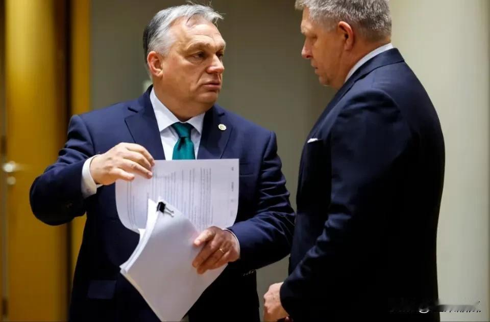 欧尔班在社交平台发文，从美国回来，建议泽连斯基在匈牙利担任欧盟轮值主席国的最后时