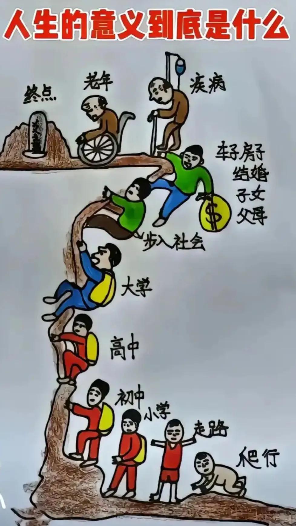 生老病死，自有定数？
生老病死，常被视作人生既定轨迹，似有定数。从自然规律看，生