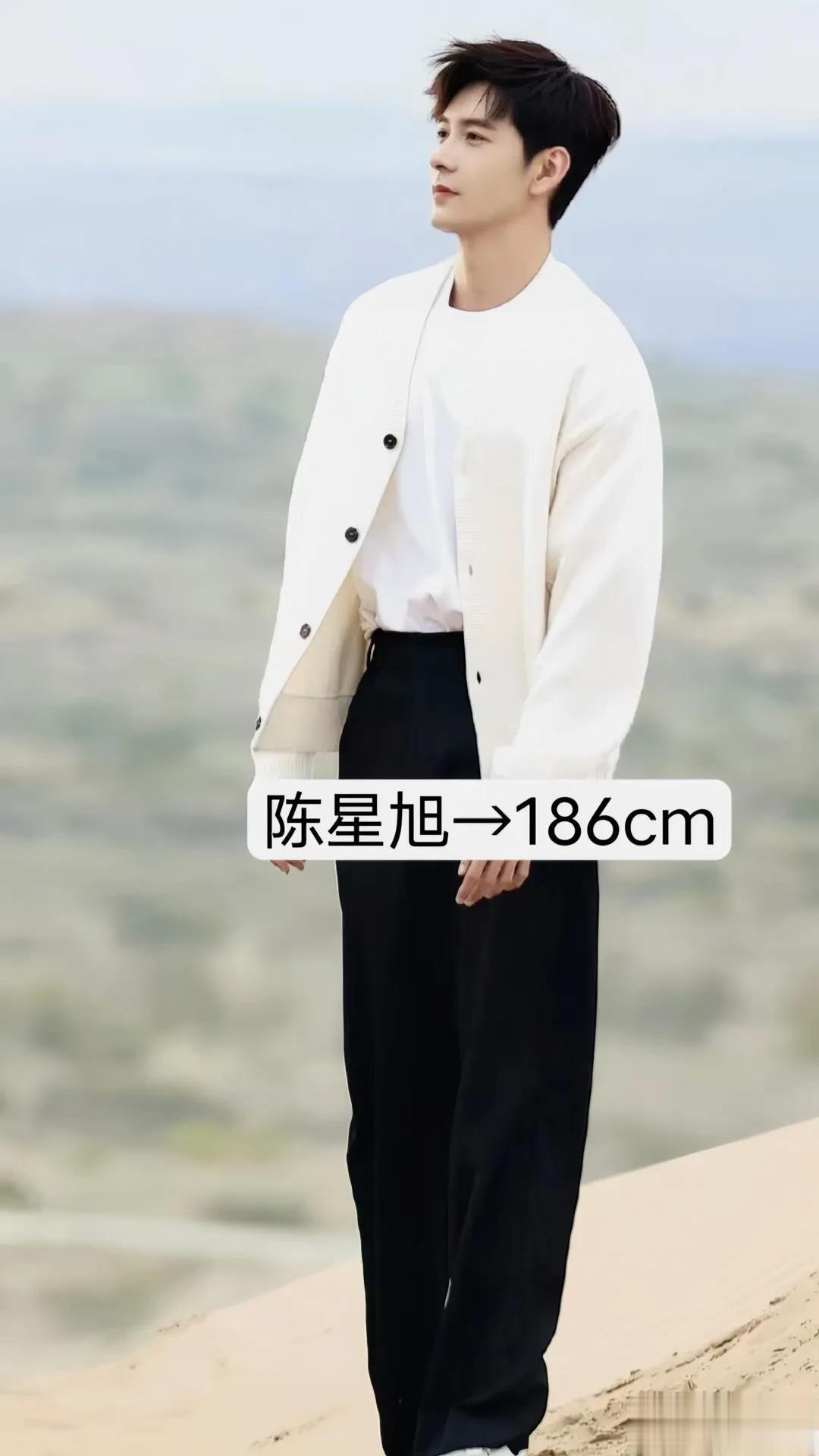 身高185以上的男明星