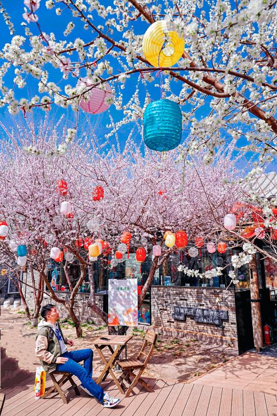 3.18二环桃花源闪现！胡同深处藏着粉色江南