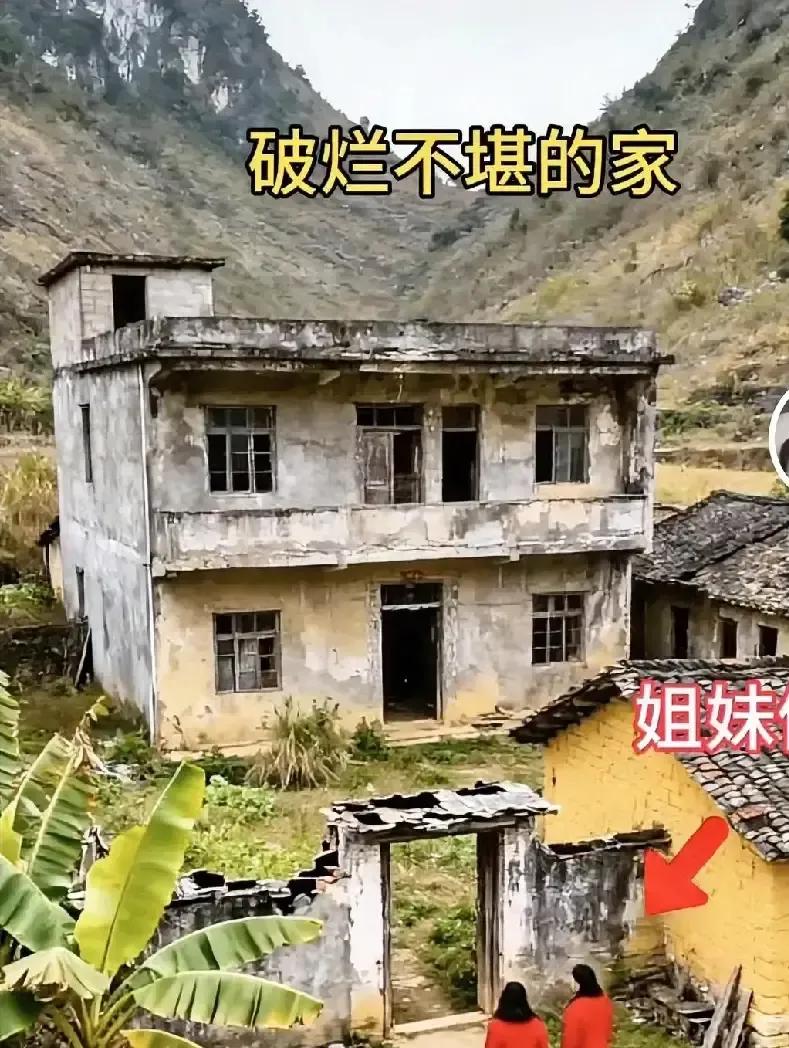 老房挂出去三个月没人问，连本村都没人接手。
墙皮掉得像地图，院子草高过腰，我回去