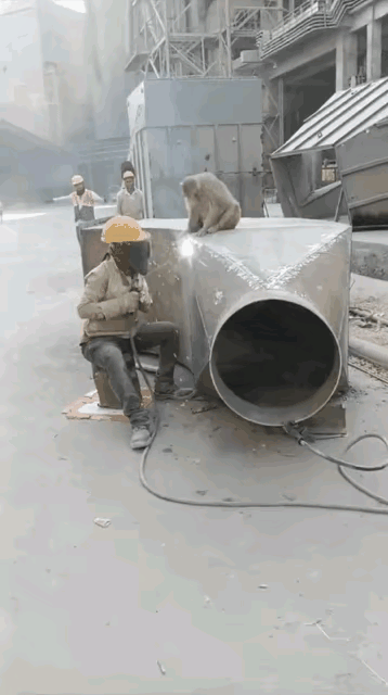 好奇心这么重有啥好啊？