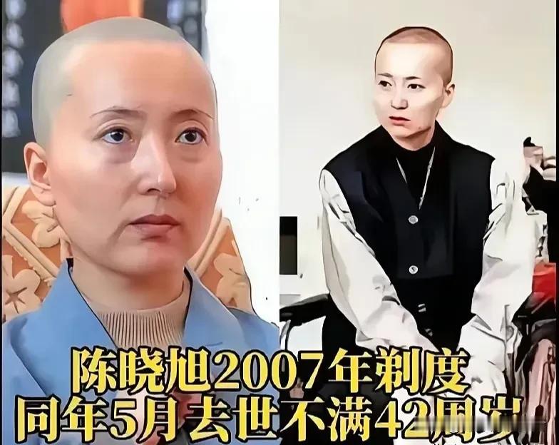 陈晓旭：戏里黛玉，戏外一生皆痴情。
陈晓旭仿佛把林黛玉的魂魄融进了自己的人生，骨