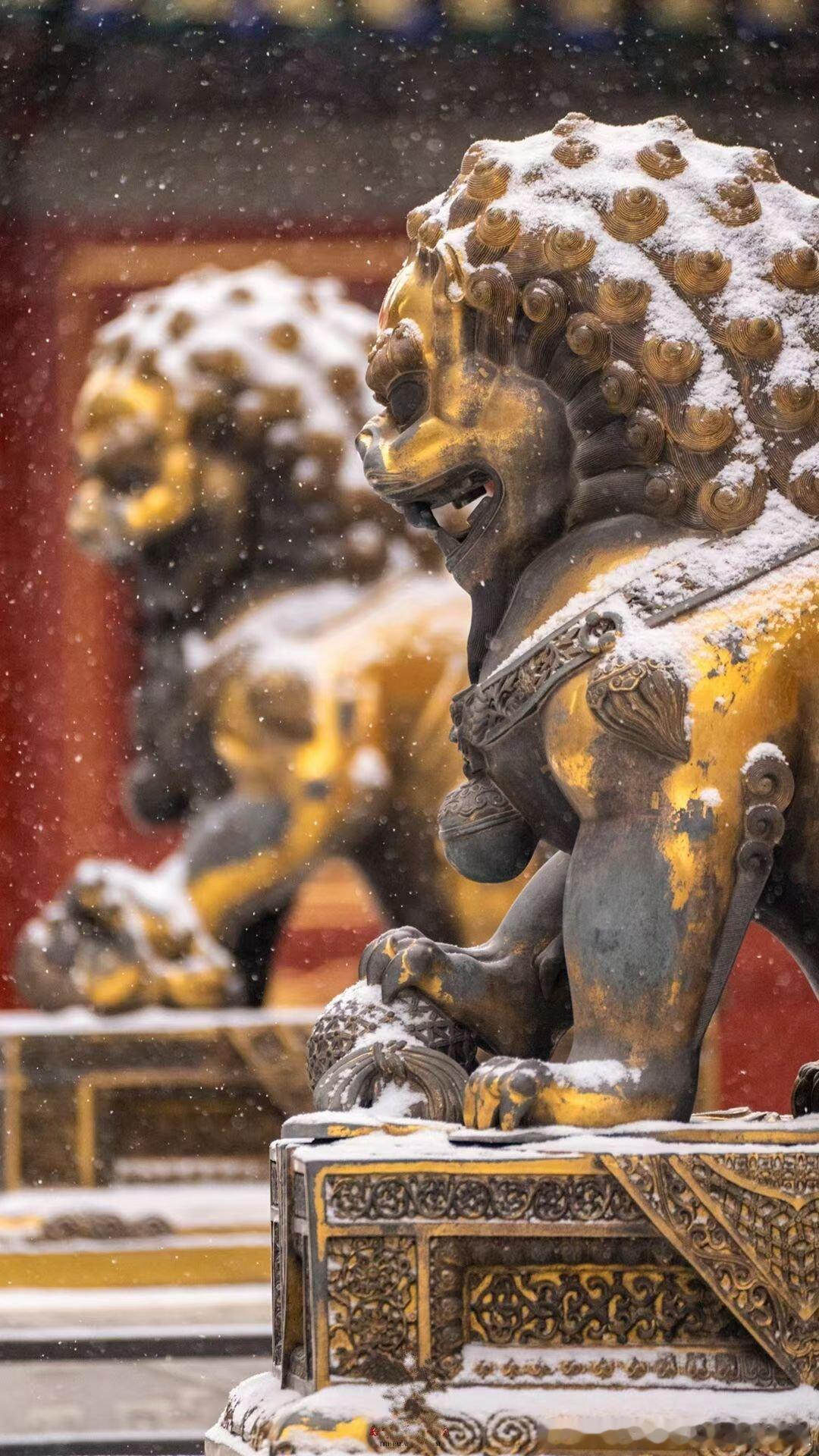 张凯毅称4斤黄金凤冠被毁未索赔这个展柜有点拉胯我看着差点以为是个塑料罩子说倒就倒