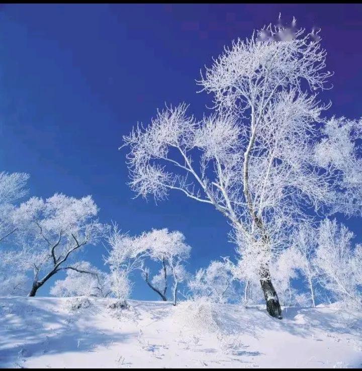 漫天雪花落长空，
银装素裹乐无穷，
神州大地披锦绣，
………请友续句………[心]