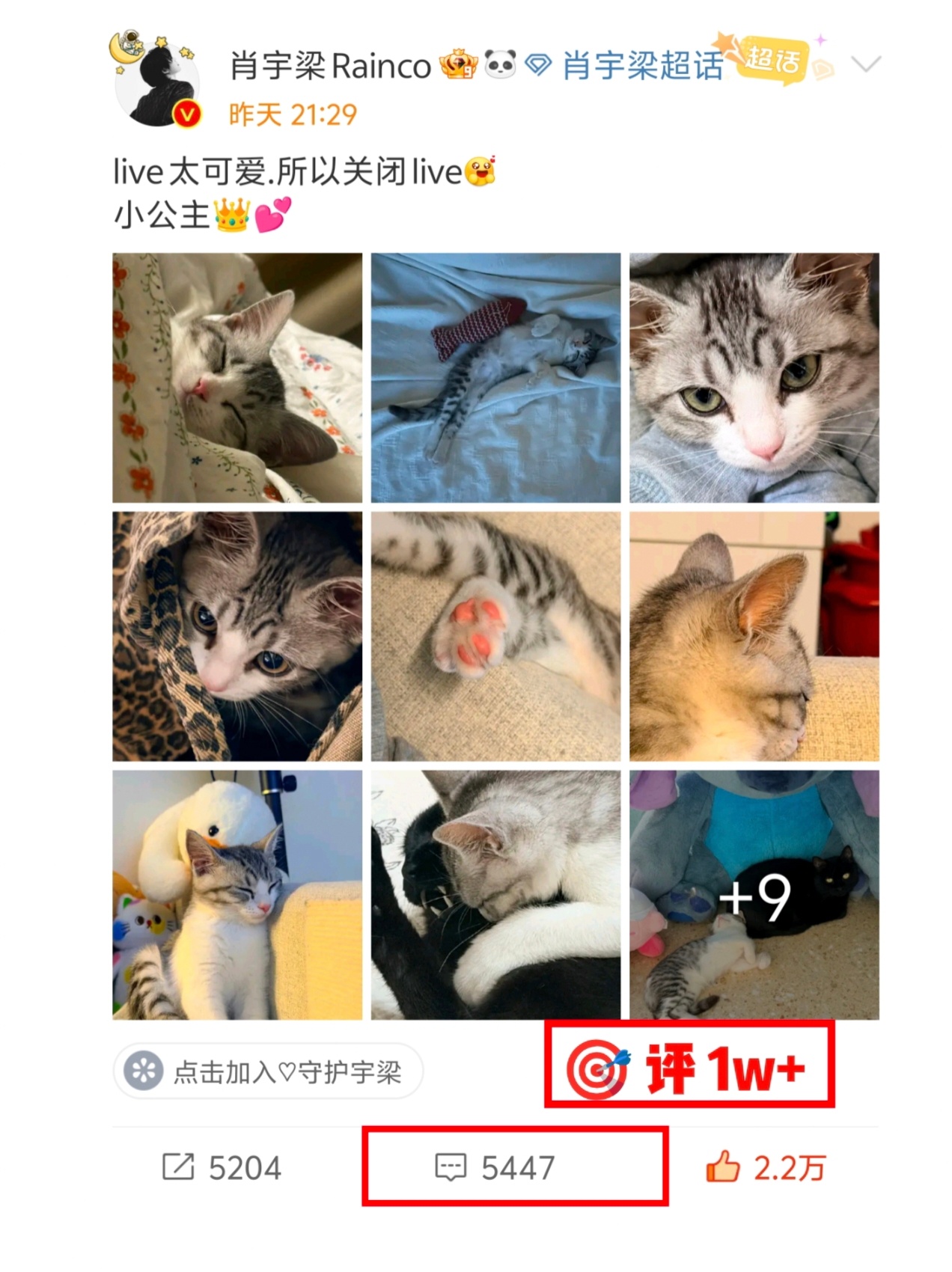 11.03 任务[举手][举手][举手] 目标🍎1w+ 每浩每轮评15条，一轮