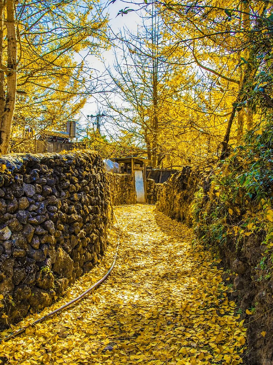 腾冲+瑞丽+芒市｜小众云南旅游路线攻略🍂