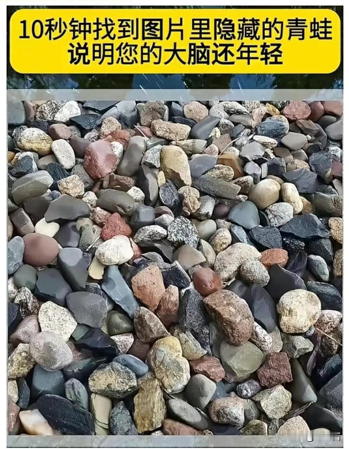 1%的人可以找到，图上有一只青蛙

👀来玩个眼力小测试
这张图里面藏着一只青蛙