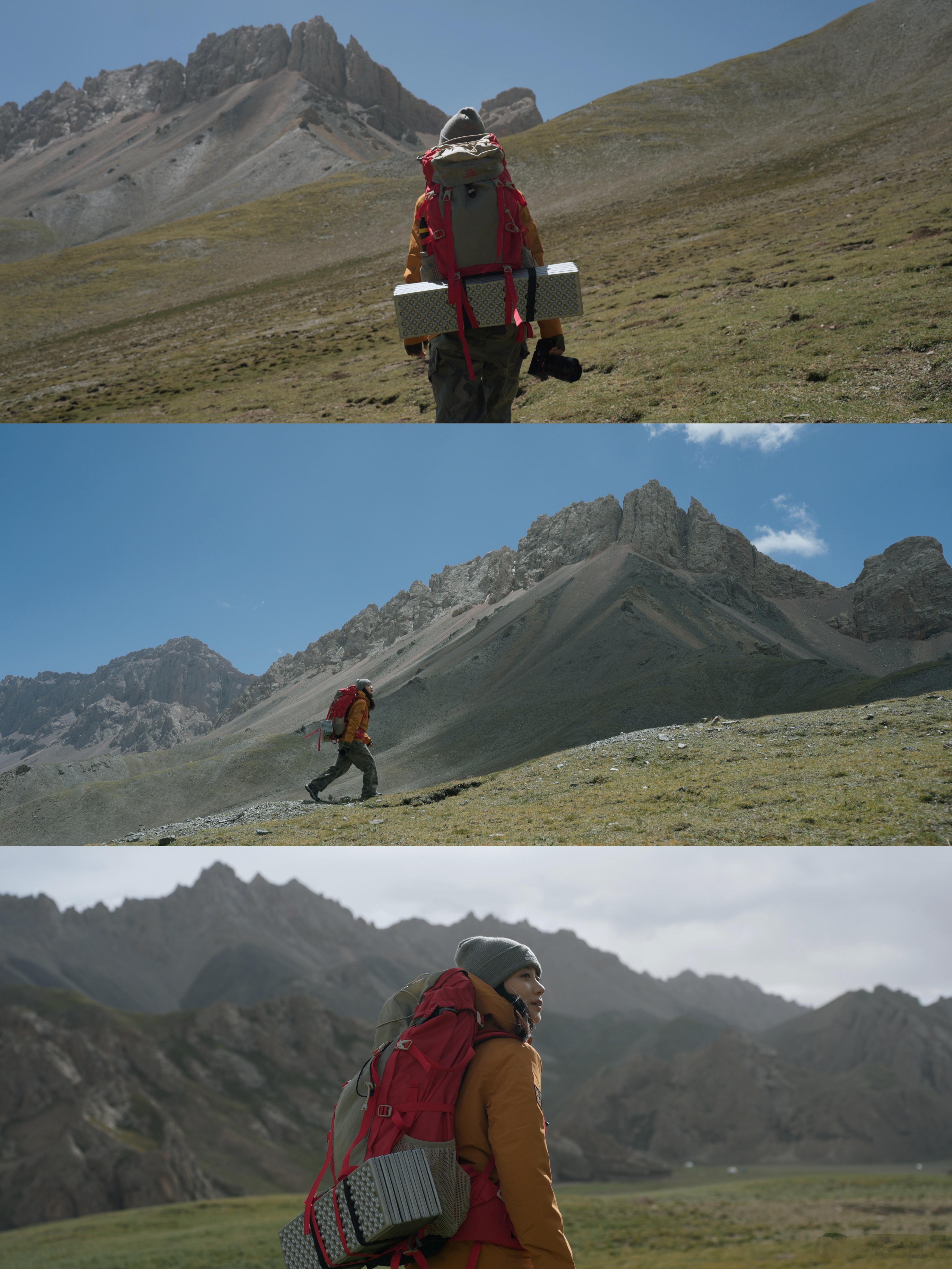 要像高山雪莲般纯净无争 ​​​