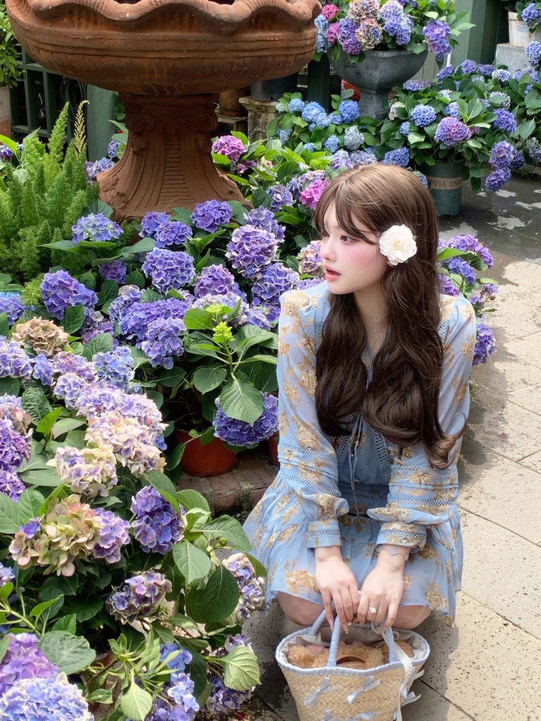 深圳 来二刷的花园👒🪻