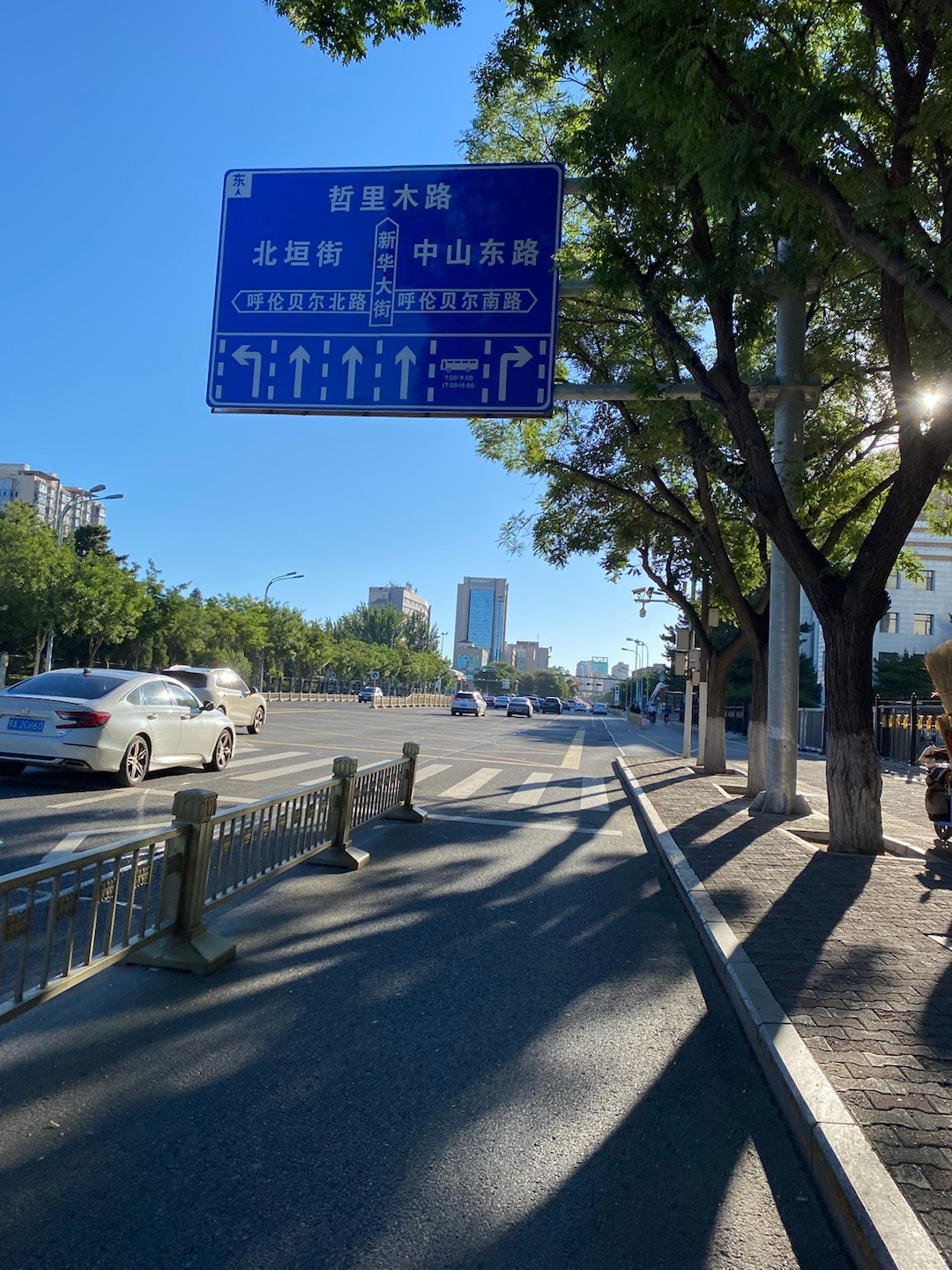 一大早闯入了呼市的自由市场，西梅五块一斤，牛奶三块一袋，酸奶八块一桶，也太幸福了