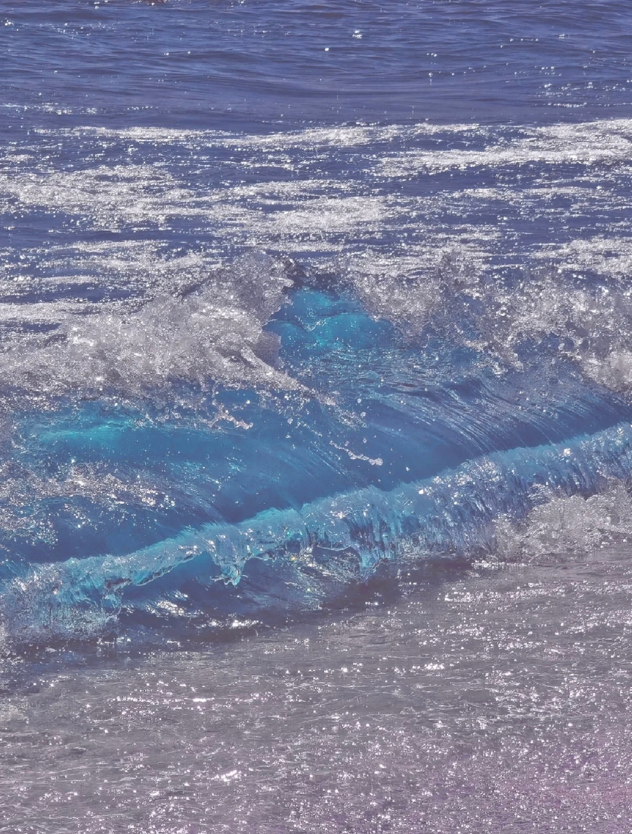 海🌊 