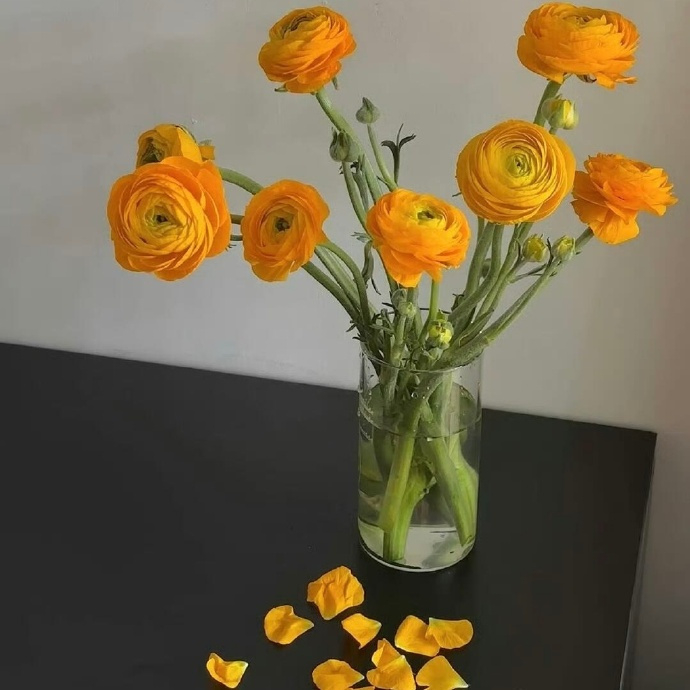 🔖·𝐋𝐨𝐯𝐞 🌷“花有花期 人有时运 只要在变好 慢点又何妨 .” 