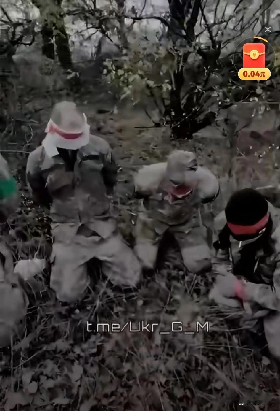 外媒报道，11月25日美乌官员称，乌克兰已原则同意美国提出的和平协议，不过部分条