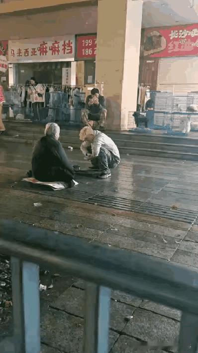 这个黄毛颠覆了我的认知，在我的印象中黄毛都很不好管教，好像是生活在另一个世界，看