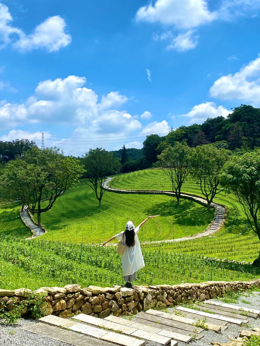 就在广州🌿找到近地铁拍照绝美的大茶山！！