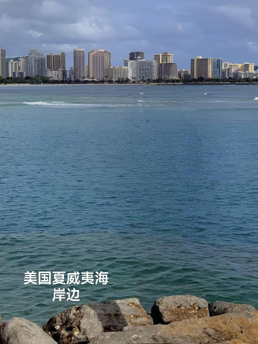 宗亲发自美国夏威夷