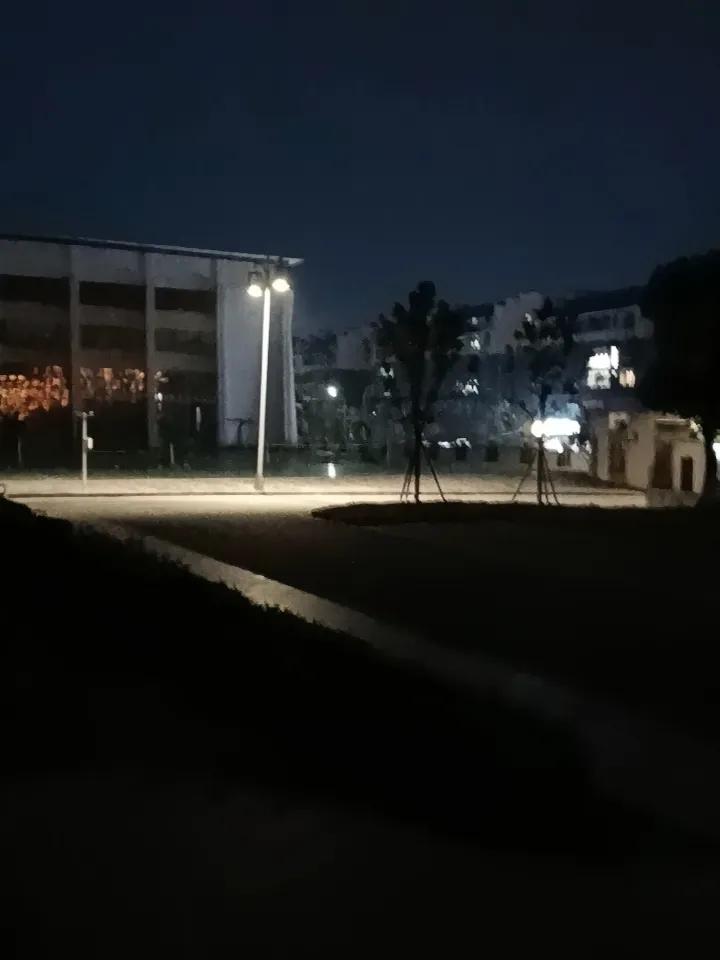 今天是正月十五元宵佳节，乡下相当热闹