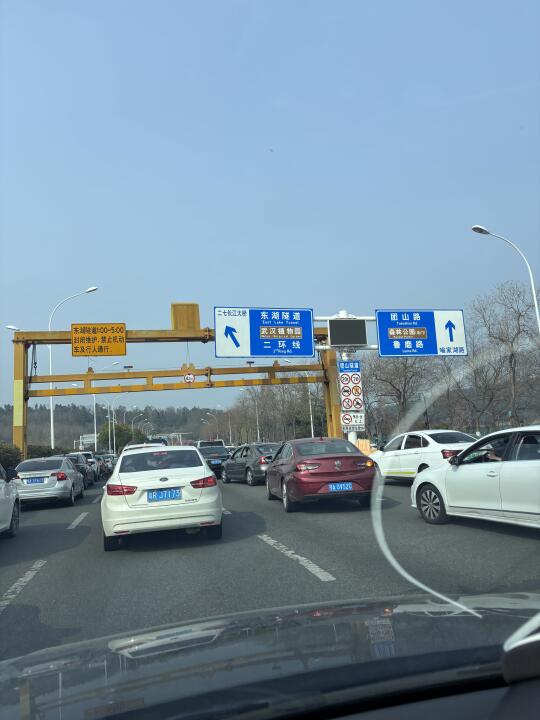 东湖樱花把整个东湖交通搞瘫痪！这么离谱！
