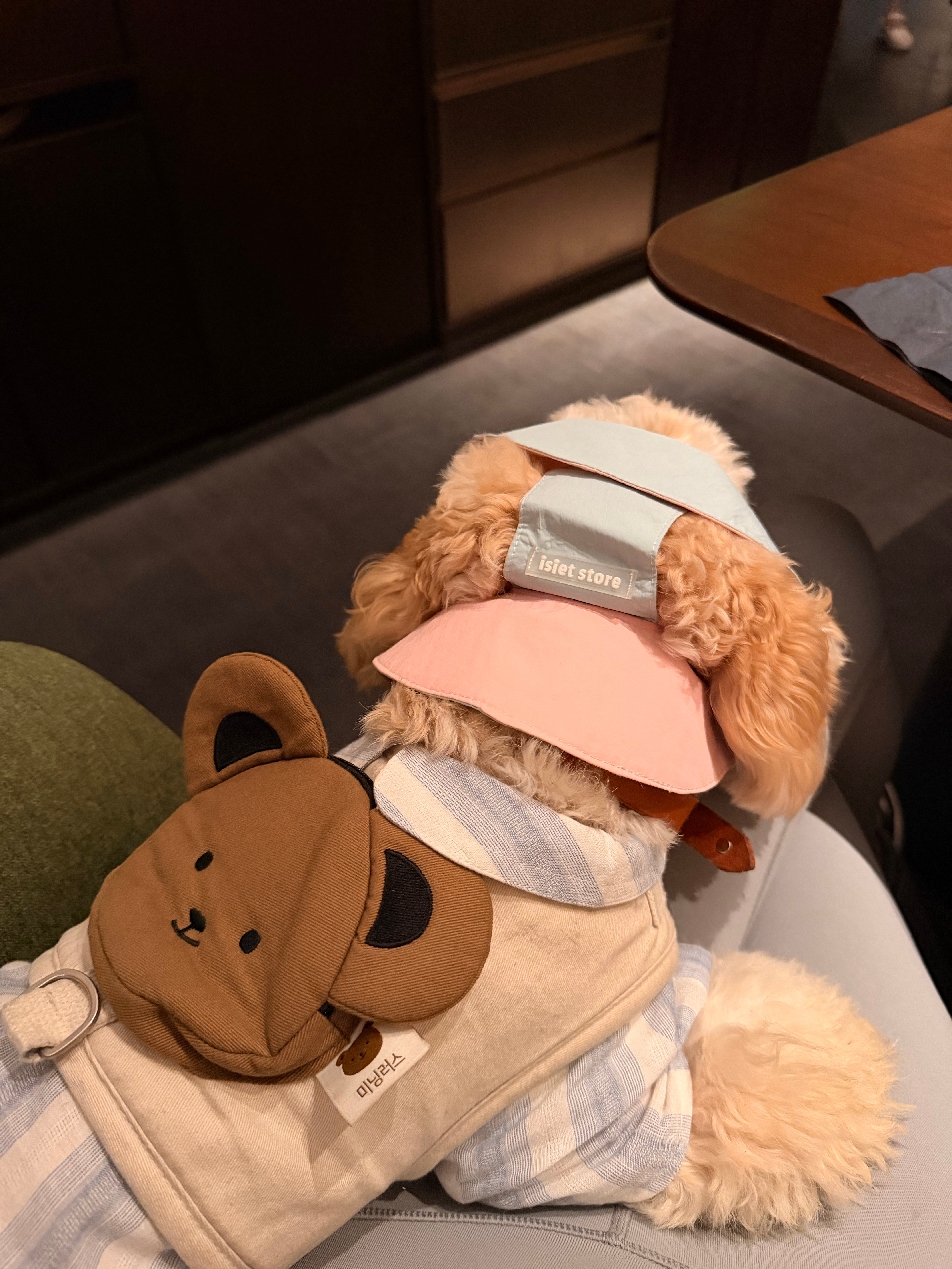 中秋快乐呀 ​​​