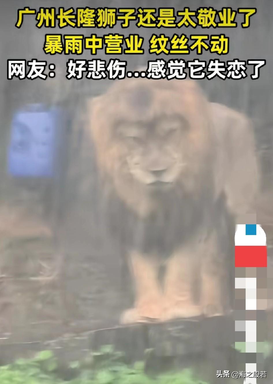 人和人是不一样的。

今天下雨，交通压力大，同事们陆陆续续地进门，矮矮的，胖胖的