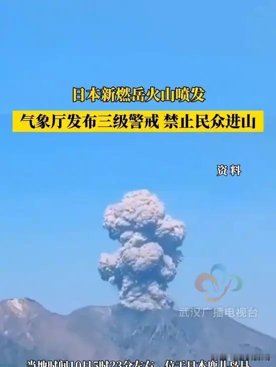 直接了当的说由于中日关系紧张，部分航班停运，为避免不必要的麻烦禁止前往日本。